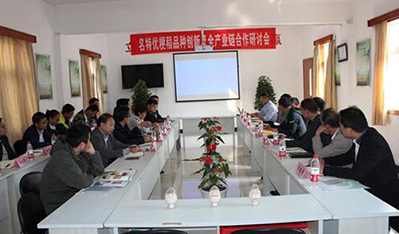 Seminar on Variety Innovation and whole Industry chain Cooperation of famous, Special and High quality Japonica Rice was held in Xuyi, Jiangsu Province