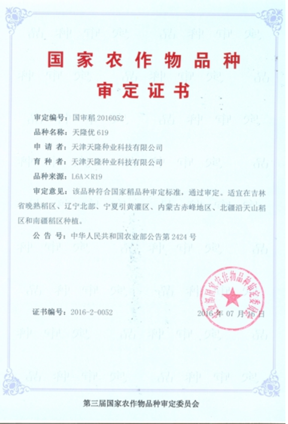 Tianlong you 619, a hybrid japonica rice variety of Tianjin Tianlong seed Industry Technology Co., Ltd., has passed the national examination and approval.