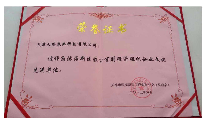 Tianjin Binhai New area promotes the Development of non-public economy-- Tianlong Company has won many honors