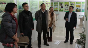 The leaders of China Venture Capital and Shandong Sanyi Landscape Company came to inspect the company.