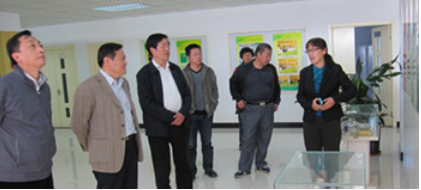 The leaders of the Finance Bureau of Tianjin and Binhai New area came to the company for investigation.