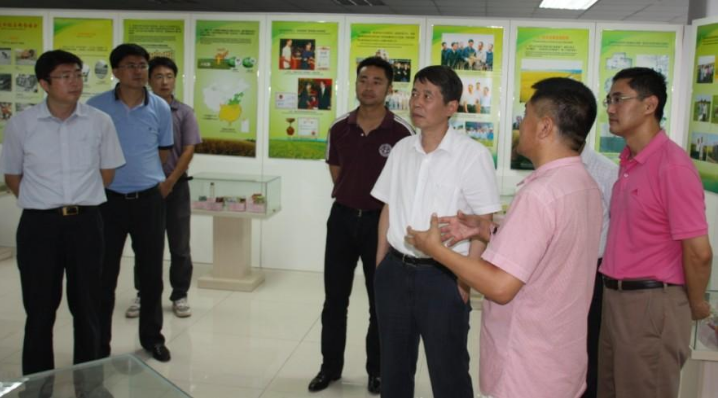Wang Sheng, deputy mayor of Binhai New area, and his party came to our company to investigate.