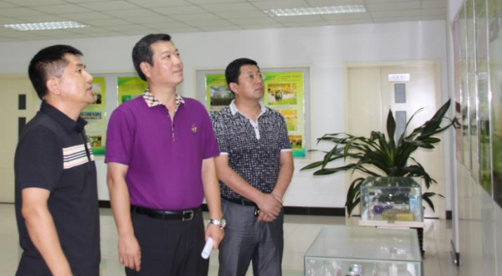 The leaders of Shandong Luhua Group came to our company for a visit and inspection.