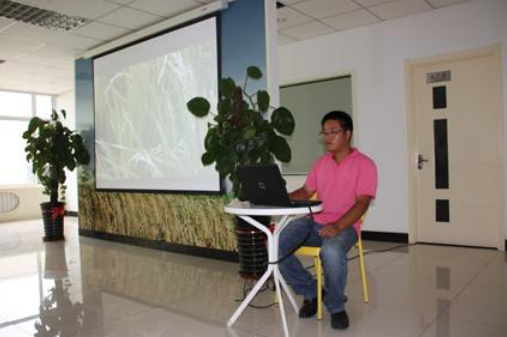 The company holds a series of lectures on rice knowledge (4)-- breeding of hybrid rice varieties