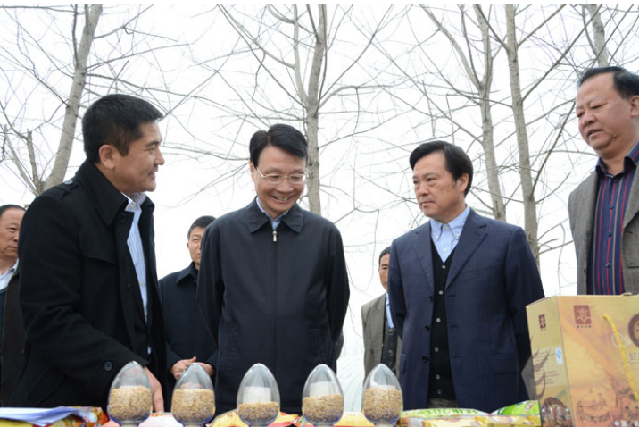 He Quan, vice governor of Jiangsu Province, came to our company's Xuyi New Variety Research and Test Base for investigation and guidance.
