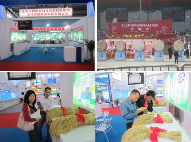 Hybrid Rice Science and Technology Trade Innovation Base participated in the 13th High-tech Fair