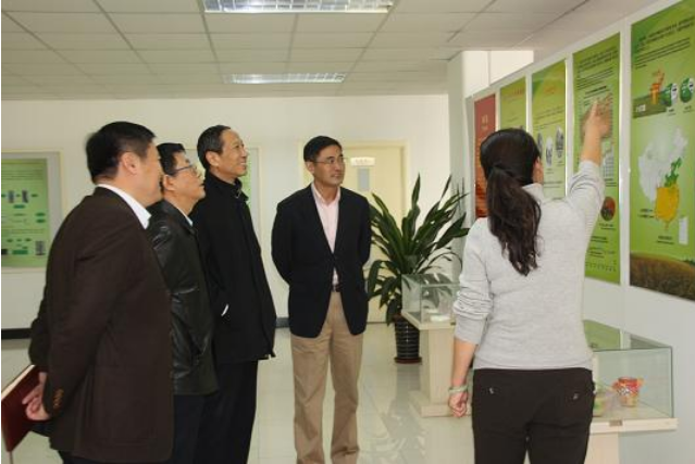 Leaders of the Economic and Informatization Committee of Binhai New area came to the company to inspect and guide the work.