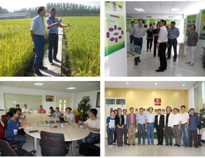 Dr. Xie Fangming of the International Rice Institute came to the company to carry out exchanges.