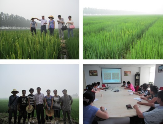 Experts from Heilongjiang Academy of Agricultural Sciences visited the company's Ninghe base.
